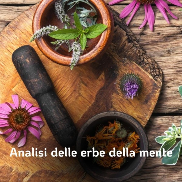 analisi-erbe-mente.jpg
