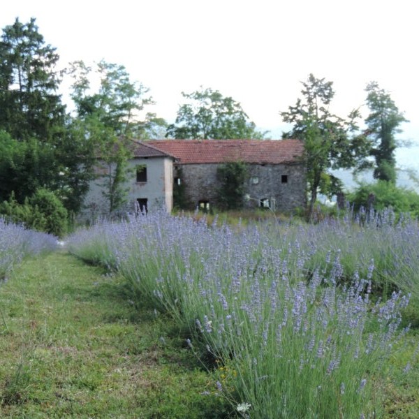 campolavanda-ca-cigolara.jpg
