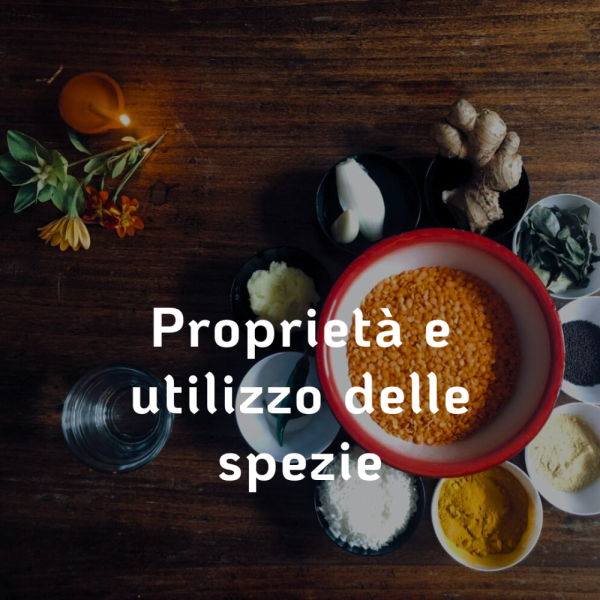 proprieta-e-utilizzo-delle-spezie.png