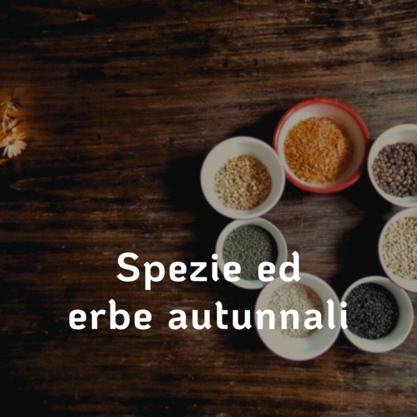 spezie-ed-erbe-autunnali.png