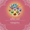 SATTVIC WEEK  ENERGETICA | PRESENTAZIONE GRATUITA 